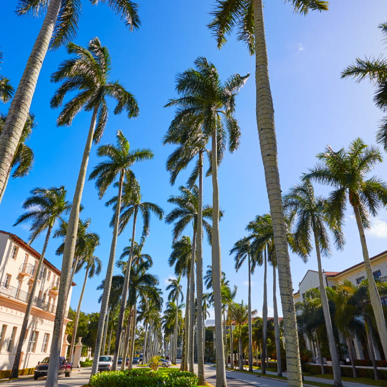 Royal Palm Beach, FL
